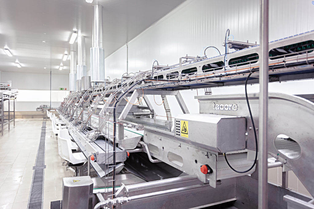 Tuna Processing Lines